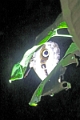 10-sortie_nocturne_005