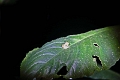 10-sortie_nocturne_012