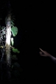 10-sortie_nocturne_017