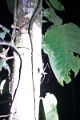 10-sortie_nocturne_018