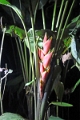 10-sortie_nocturne_025