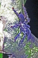 10-sortie_nocturne_027