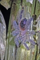 10-sortie_nocturne_028