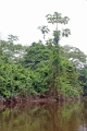 13-communaute_yaicu_warmi_033