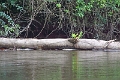 13-communaute_yaicu_warmi_037