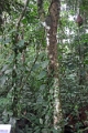 13-communaute_yaicu_warmi_046