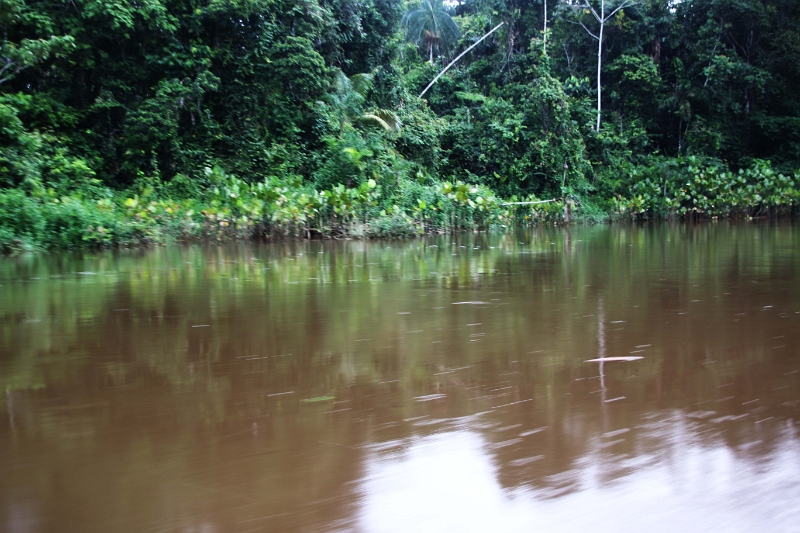 15-rio_yasuni_024.jpg