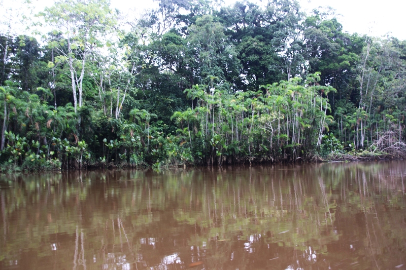 15-rio_yasuni_026.jpg