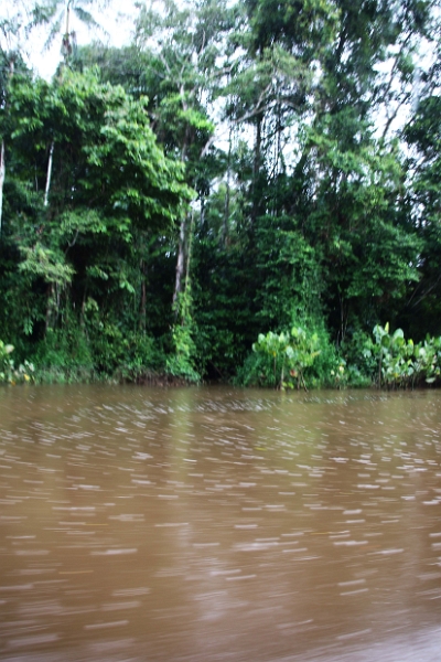 15-rio_yasuni_056.jpg