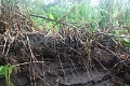 15-rio_yasuni_001