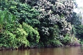 15-rio_yasuni_006
