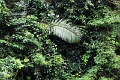 15-rio_yasuni_008