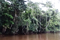 15-rio_yasuni_009