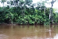 15-rio_yasuni_011
