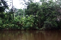 15-rio_yasuni_013