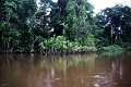 15-rio_yasuni_017