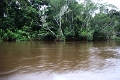 15-rio_yasuni_019