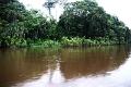15-rio_yasuni_020