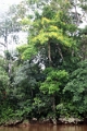 15-rio_yasuni_021