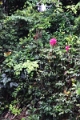15-rio_yasuni_022