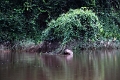 15-rio_yasuni_023