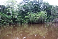 15-rio_yasuni_026