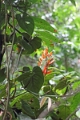 15-rio_yasuni_030