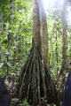 15-rio_yasuni_032