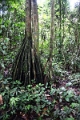 15-rio_yasuni_037