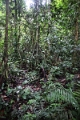 15-rio_yasuni_038