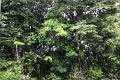 15-rio_yasuni_039