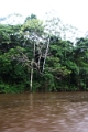 15-rio_yasuni_043