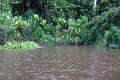 15-rio_yasuni_044