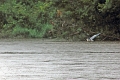 15-rio_yasuni_045