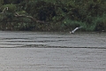 15-rio_yasuni_046