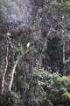 15-rio_yasuni_050