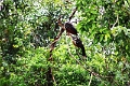 15-rio_yasuni_067