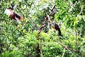 15-rio_yasuni_069