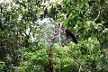 15-rio_yasuni_071