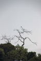 15-rio_yasuni_074