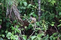 15-rio_yasuni_079