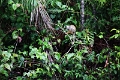 15-rio_yasuni_081