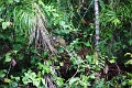 15-rio_yasuni_085