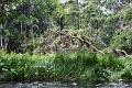 15-rio_yasuni_094