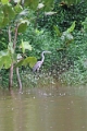 15-rio_yasuni_099