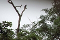 15-rio_yasuni_102
