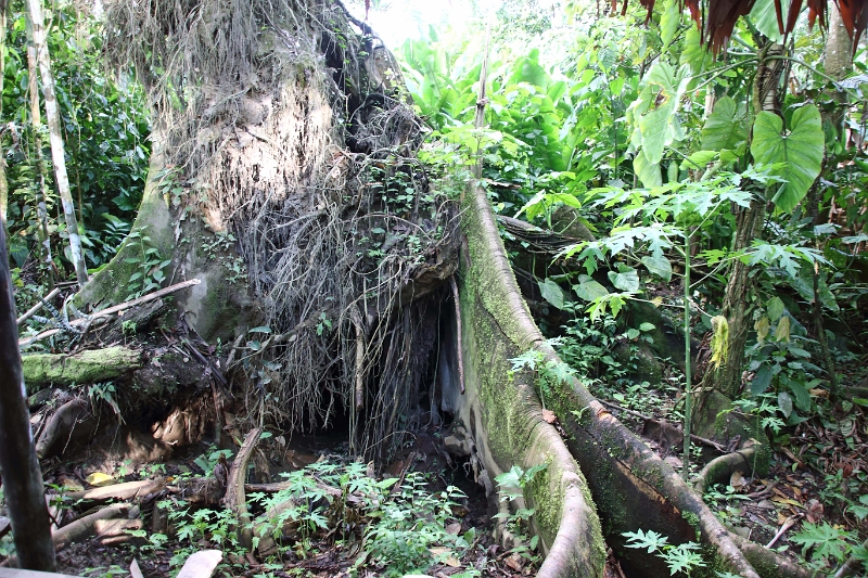 16-communaute_secoya_016.jpg