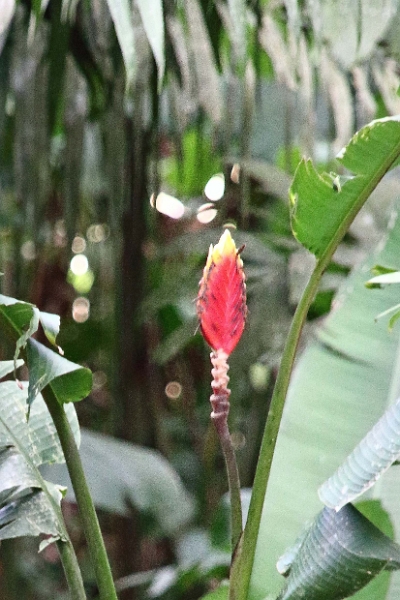 16-communaute_secoya_019.jpg