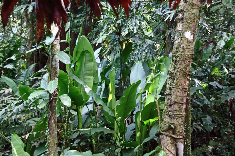 16-communaute_secoya_020.jpg