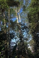 16-communaute_secoya_004
